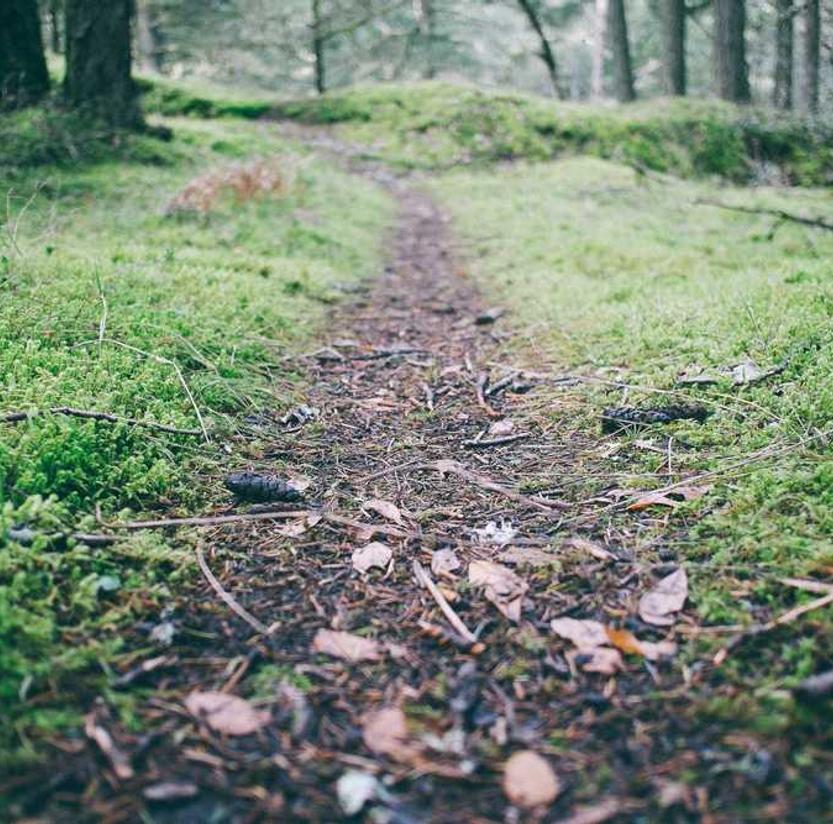 Voluptatem qui culpa autem ea aut eveniet porro ipsam sit